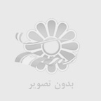 ریل فیوز مینیاتوری ورق 1 میل20 شاخه